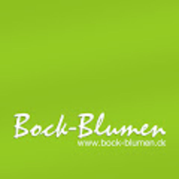  Bock-Blumen - DieBlumenBringer.de 